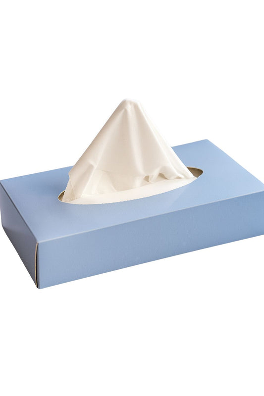 Kosmetiktücher 2-lagig – 100 % Zellstoff, Hochweiß, 100 Tücher pro Box, 40 Boxen je Karton